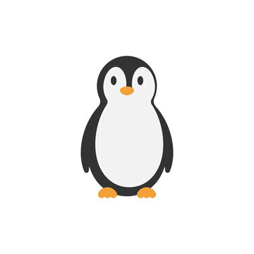 penguin icon design template vector illustration