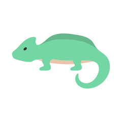 Obraz premium chameleon icon design template vector illustration