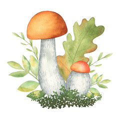 Watercolor fall mushroom clipart. Autumn forest composition with mushroom, plants, oak tree leaves. Botanical illustration. Isolated. For card, scrapbooking, home decor