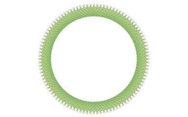  circle frame on white