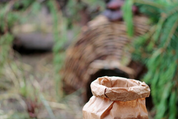  Mealworms in the bag, food for the birds
