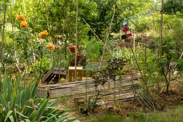 Vegetable orchard, adorned with an orange rosebush, bamboo stakes, beautifully arranged earthen pots and crates to protect the crops, in June