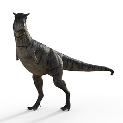 3d-illustration of an isolated dinosaur carnotaurus