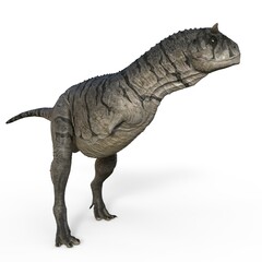 3d-illustration of an isolated dinosaur carnotaurus