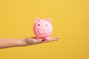 Obraz premium Closeup profile shot of woman hand holding pink piggy bank, investment, saving money, currency, deposit. Indoor studio shot isolated on yellow background.