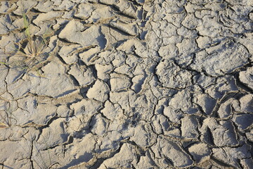 Climate warming dry chapped land