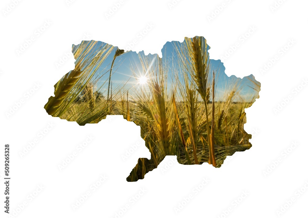 Poster Conceptual image of Ukraine's map, global food crisis caused by Russia's invasion concept