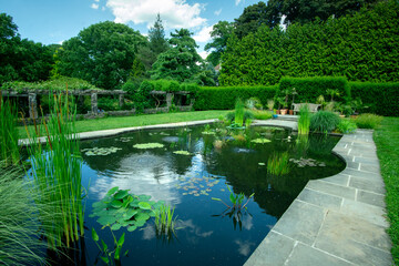 Fototapeta na wymiar Bronx, NY - USA - June 4, 2022 a view of the Aquatic Garden at Wave Hill. A reflective pool with aquatic plants, hedges and pergolas. Wave Hill is an estate in the Hudson Hill section of Riverdale.