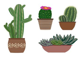 Set of cactus and succulents house  plants in pots. Vector illustration.