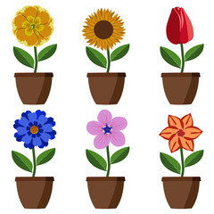 Bright cartoon simple flowers in pots. Flat style, vector illustration.