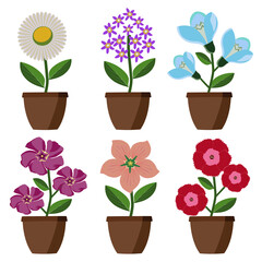 Bright cartoon simple flowers in pots. Flat style, vector illustration.