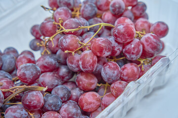 シードレスグレープ