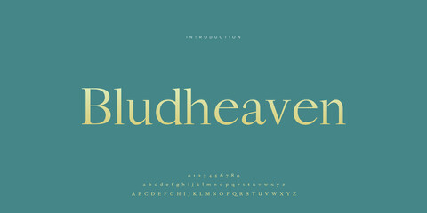 Royal, an elegant alphabet font and number. Premium uppercase fashion Design typography. vector illustration