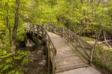 Obraz premium Footbridge Across Ramsey Creek