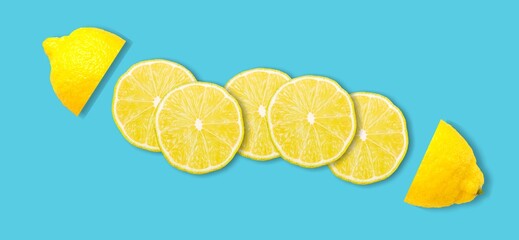 Infographic design of sliced lemon. Deconstructed food design background.