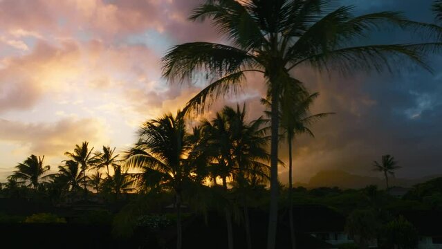 4K dolly aerial of majestic sunset or sunrise landscape. Amazing light of nature pink cloudscape sky and golden clouds moving behind palms trees silhouettes. Sunset clouds footage, Nature background
