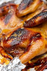 angle view fresh baked home-made chicken just came out from an oven vertical composition