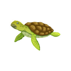 Cartoon turtle personage, cute vector tortoise animal character with green skin, flippers and brown shell. Funny little smiling turtle, isolated friendly aquatic reptile character