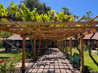 Garden in by the San Luis Obispo Mission