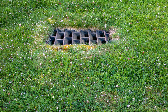 Drainage Grate In Green Lawn