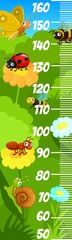 Cartoon cute insects kids height chart. Vector growth meter, wall sticker for children height measurement with funny ladybug, butterfly, bee or bumblebee, ant and snail characters on flowers