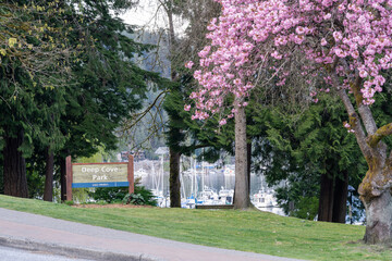 Naklejka premium North Vancouver, BC, Canada - April 19 2021 : Deep Cove Park. A popular summer resort for Vancouver residents.