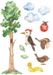 Watercolor clipart with a tall tree, woodpecker, sparrow, clouds, ladybug, caterpillar, leaves to create a children's stadiometer