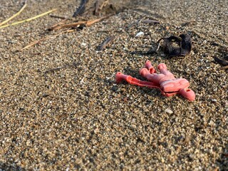 

Closeup shot of red plastic action figure toy broken on the beach sand