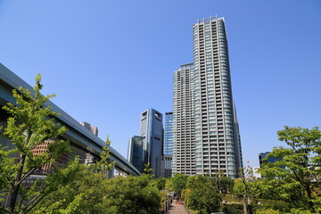 Fototapeta na wymiar 緑あふれる公園と汐留の高層ビル群