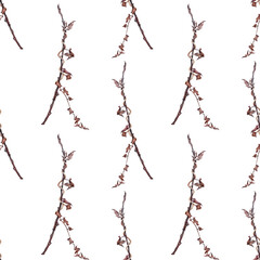 Seamless pattern watercolor dry twig isolated on white background. Hand drawn dry brown branch with leaves for decoration. Botanical antique illustration for wallpaper wrapping sketch book card