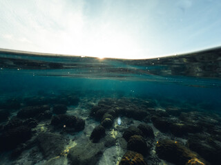 Underwater at the beach on the island