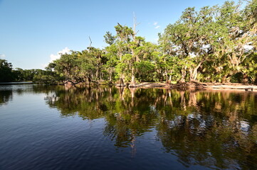 Fisheating Creek near Palmdale, Florida on calm clear summer afternoon..