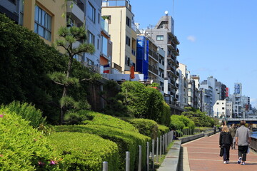 隅田川沿いの遊歩道を散歩する人々