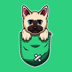 Cute cartoon cat in a pocket