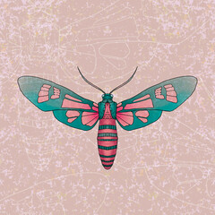 Mariposa turquesa, verde y rosada con fondo salpicado y con líneas blancas. Insecto volador colorido y fantástico. Motivo decorativo. Fondo.