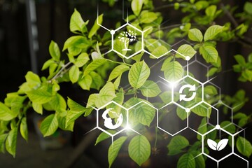 Plants green background with biochemistry structure.