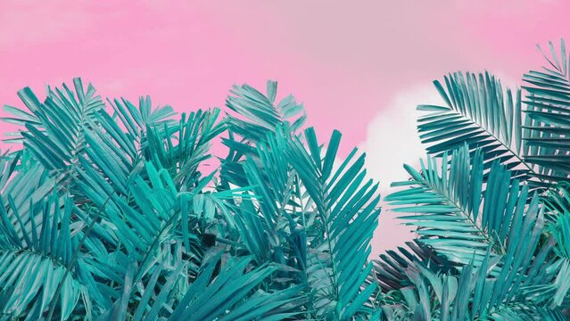 Tropical palm leaves in vibrant pink and blue colors. Tree jungle leaf background texture. Retro style creative summer design concept.