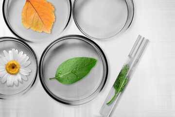 Plant in petri dish and transparent podium with blank space in laboratory background for plants advertising
