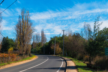 Fototapeta premium Calle amplia sin vehículos en el campo rural con arboles de otoño y cielo con leves nubes dispersas