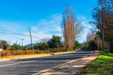 Calle amplia sin vehículos en el campo rural con arboles de otoño y cielo despejado
