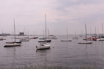 Fototapeta premium Sailboats