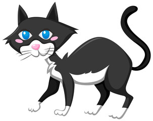 Feline cat in cartoon style
