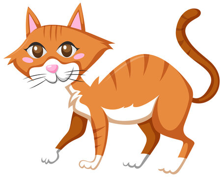 Orange cat in cartoon style