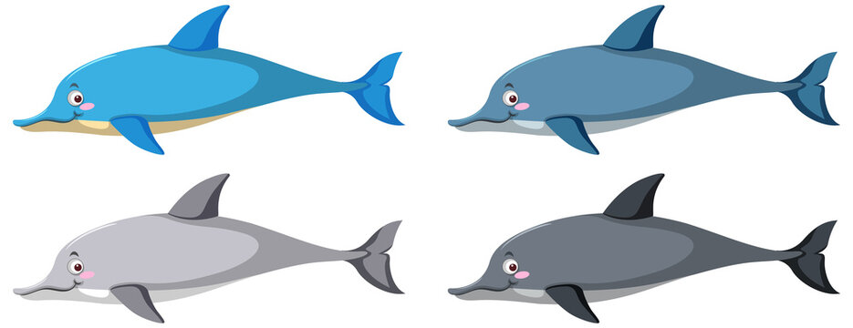 Set of different dolphins in cartoon style