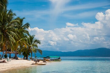 Fototapeta na wymiar nature water boat sea beach sand palm tree tropical paradise carribean