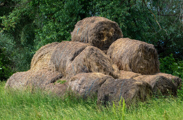 old straw bales abandoned in the field