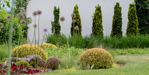 Nowoczesny stylowy zadbany ogród z ciekawą ścianką dekoracyjną i formowanymi roślinami