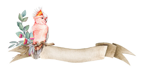 Pink cockatoo parrot with vintage banner. Watercolor illustration. Hand drawn parrot on vintage banner with eucalyptus leaves and flowers. Rustic floral decoration. White background © anitapol