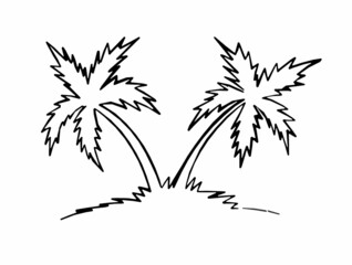 Black outline of a palm tree on a white background