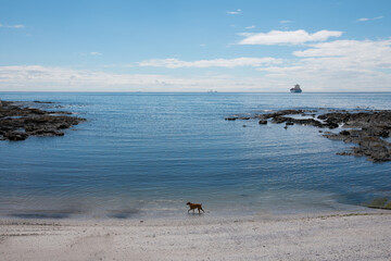 sitting on the dog of the bay